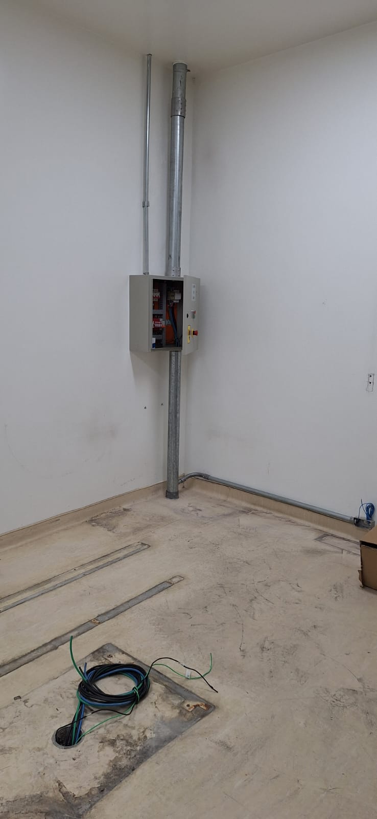 WhatsApp Image 2025-07-31 at 11.47.38.jpeg