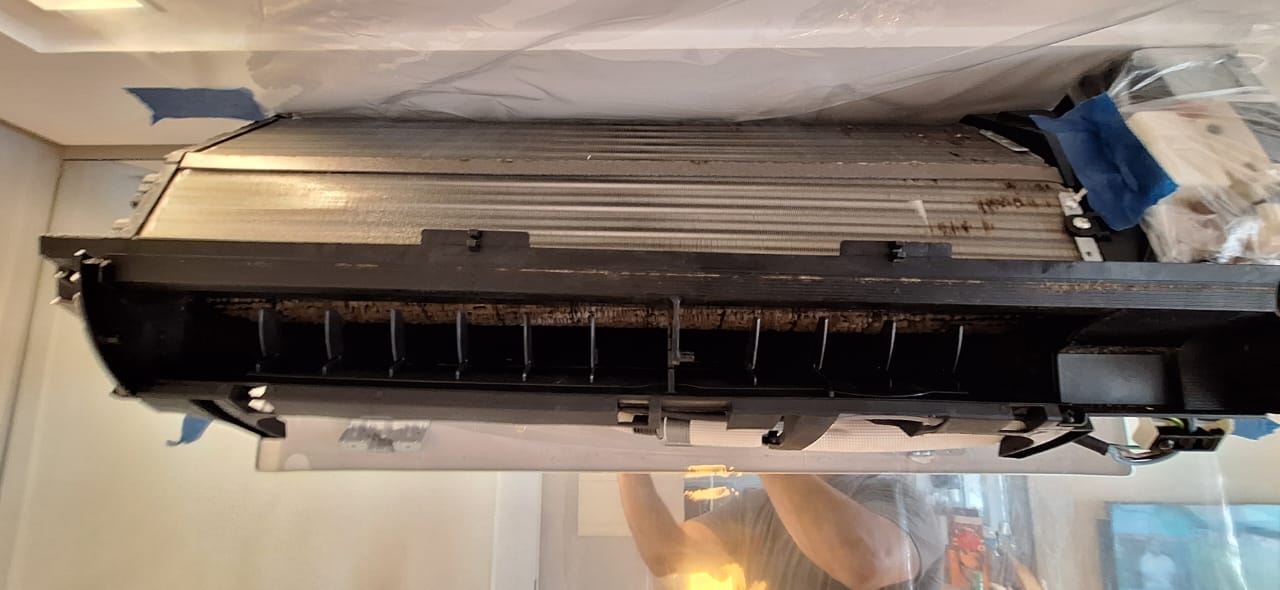 Imagem do WhatsApp de 2025-05-29 à(s) 13.49.55_a41d566a.jpg